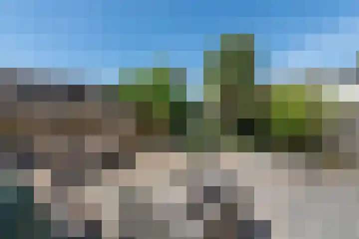 Duiveland 38 Haarlem thumbnail 12