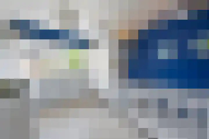 Duiveland 38 Haarlem thumbnail 17