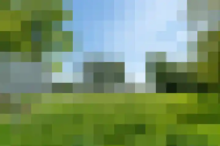 Duiveland 38 Haarlem thumbnail 29