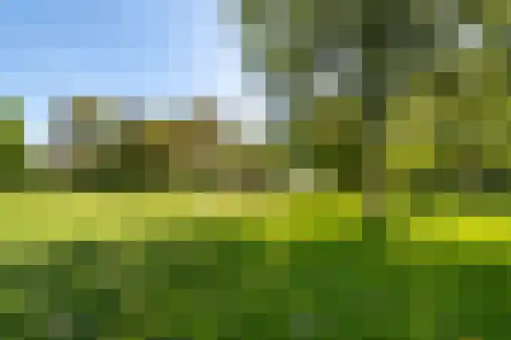 Duiveland 38 Haarlem thumbnail 30