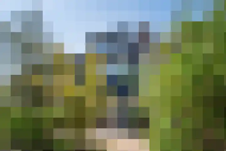 Duiveland 38 Haarlem thumbnail 36