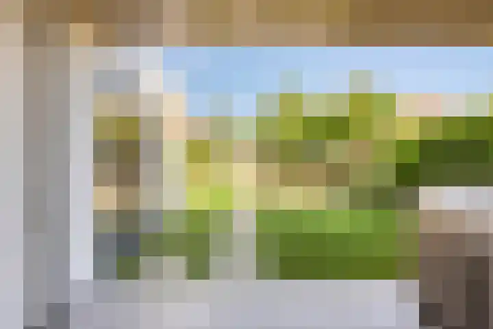 Duivelmolen 23 Oss thumbnail 29