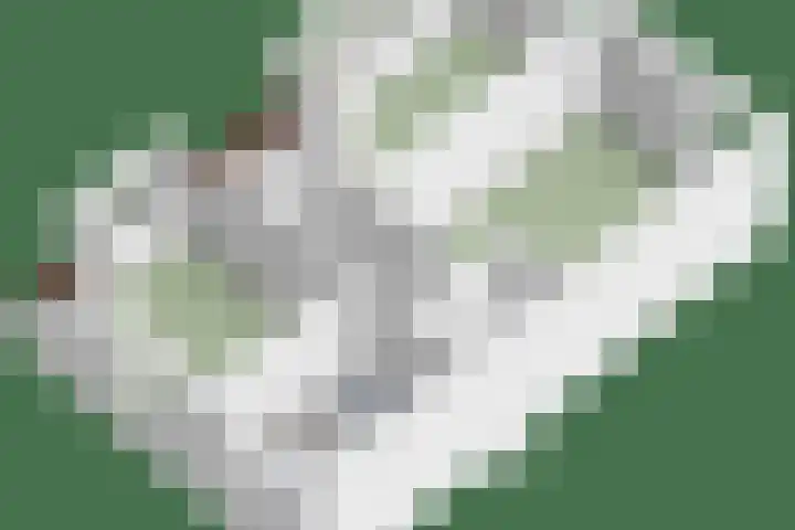 Duivelmolen 23 Oss thumbnail 43