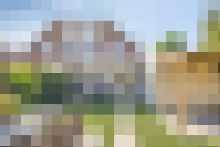 Duivelmolen 23 Oss thumbnail 5
