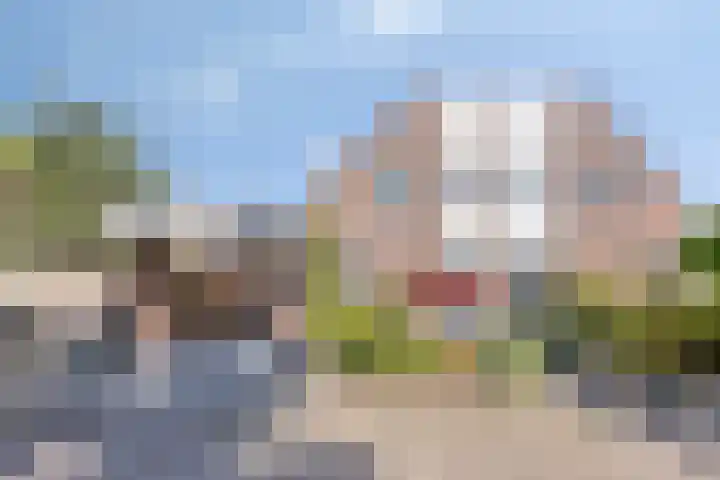 Duivelmolen 23 Oss thumbnail 6