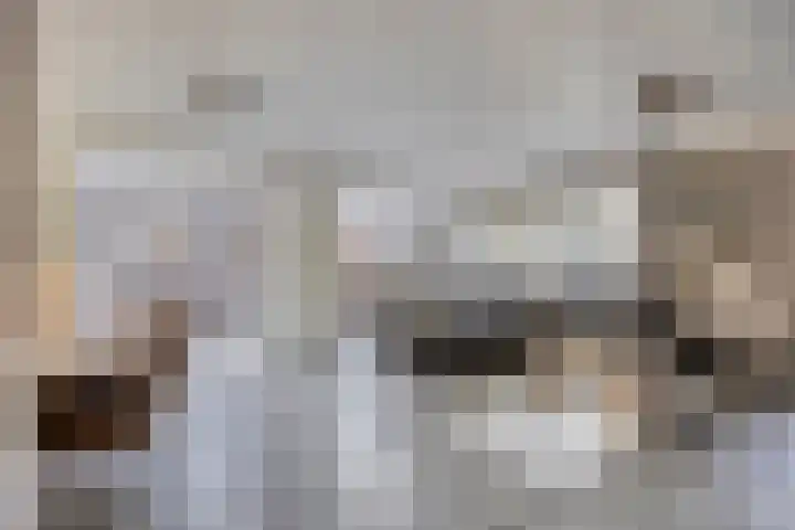 Duivelmolen 23 Oss thumbnail 8