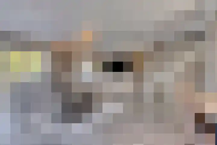 Duivelmolen 23 Oss thumbnail 9