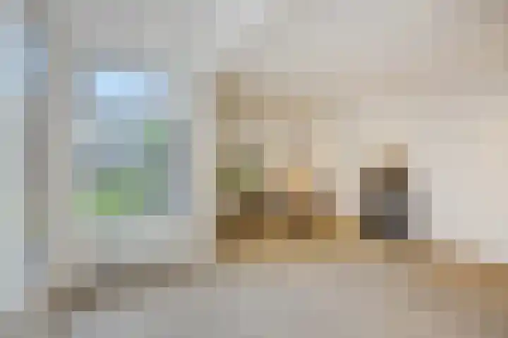 Duivelmolen 3 Oss thumbnail 12