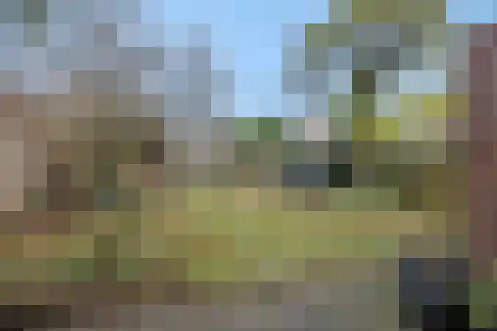 Duivelmolen 3 Oss thumbnail 34