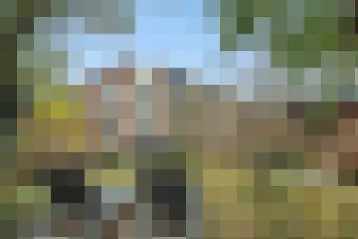 Duivelmolen 3 Oss thumbnail 36