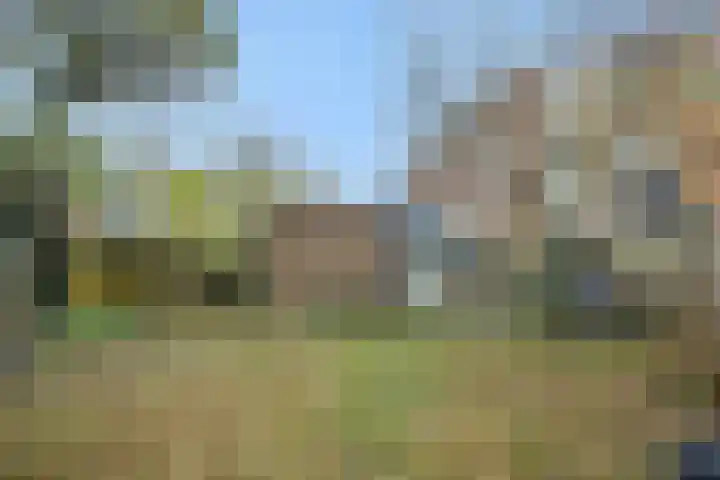 Duivelmolen 3 Oss thumbnail 37