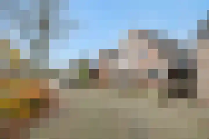 Duivelmolen 3 Oss thumbnail 39