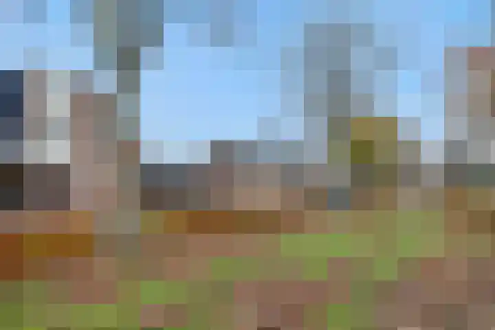 Duivelmolen 3 Oss thumbnail 41