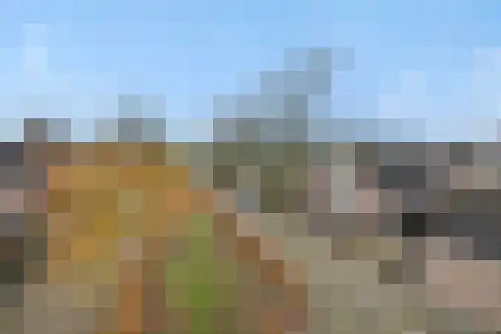 Duivelmolen 3 Oss thumbnail 44