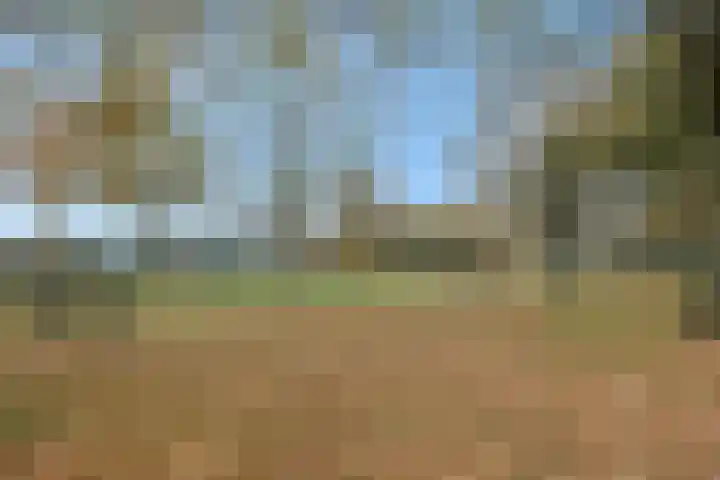 Duivelmolen 3 Oss thumbnail 47