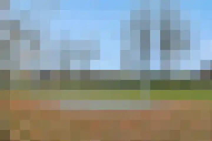 Duivelmolen 3 Oss thumbnail 48
