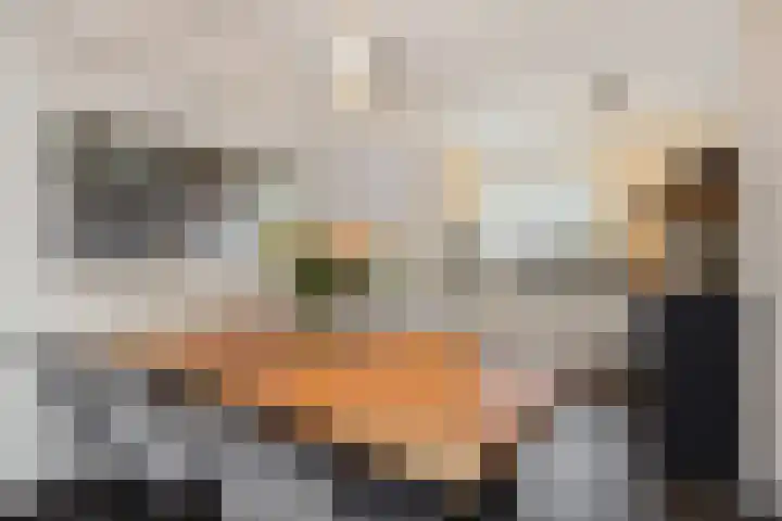 Duivelmolen 3 Oss thumbnail 5