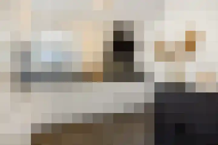 Duivelmolen 3 Oss thumbnail 7