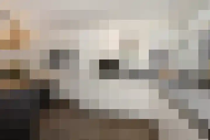 Duivelmolen 3 Oss thumbnail 8