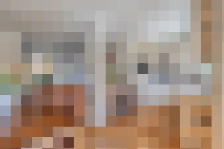 Duivenhof 32 Made thumbnail 10