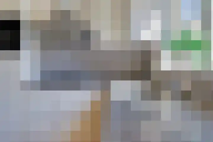 Duivenhof 32 Made thumbnail 12