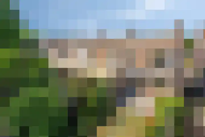 Duivenhof 32 Made thumbnail 13