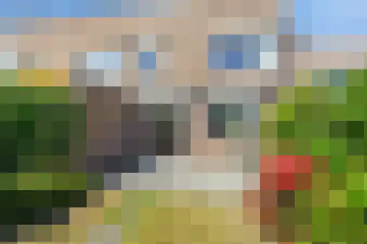 Duivenhof 32 Made thumbnail 15