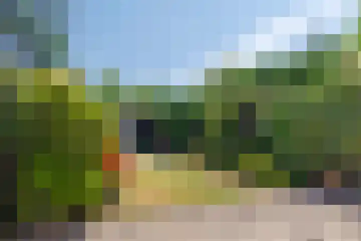 Duivenhof 32 Made thumbnail 17