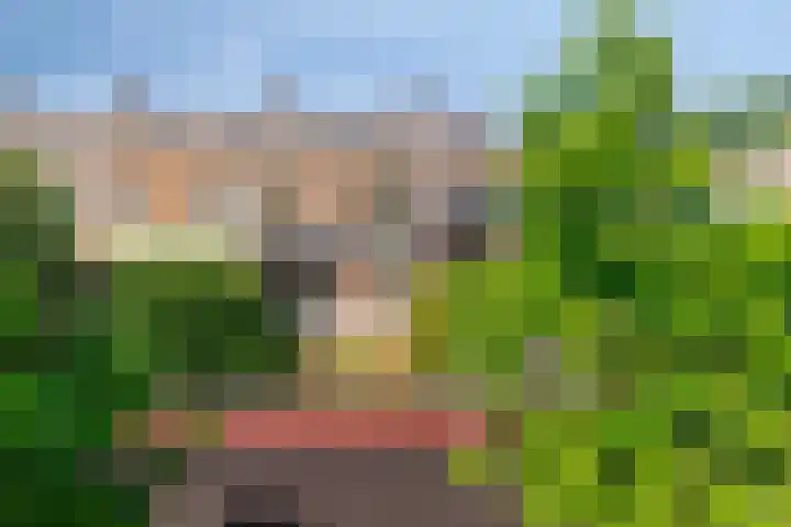Duivenhof 32 Made thumbnail 18