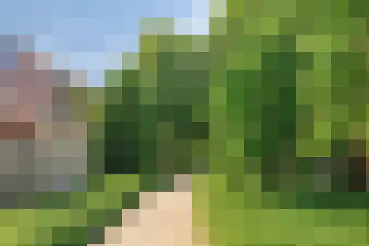 Duivenhof 32 Made thumbnail 19