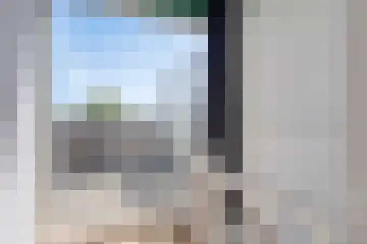 Duivenhof 32 Made thumbnail 28