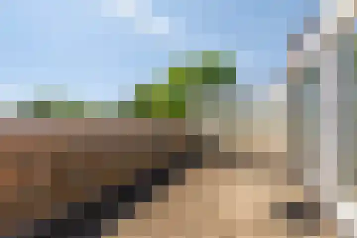Duivenhof 32 Made thumbnail 32