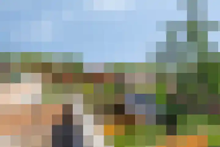 Duivenhof 32 Made thumbnail 34