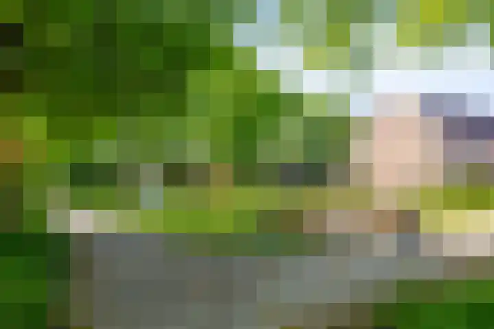 Duivenhof 32 Made thumbnail 35