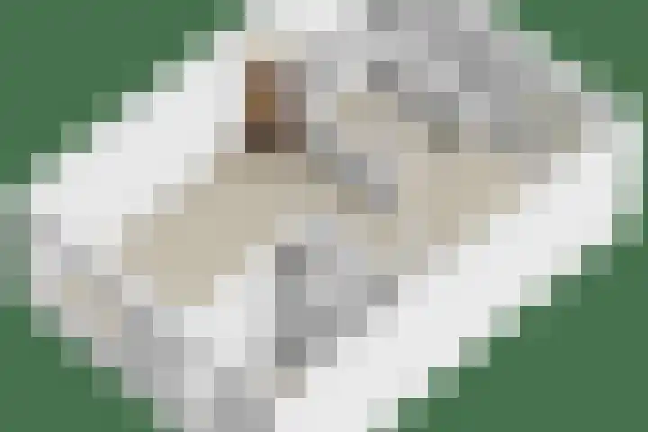 Duivenhof 32 Made thumbnail 39