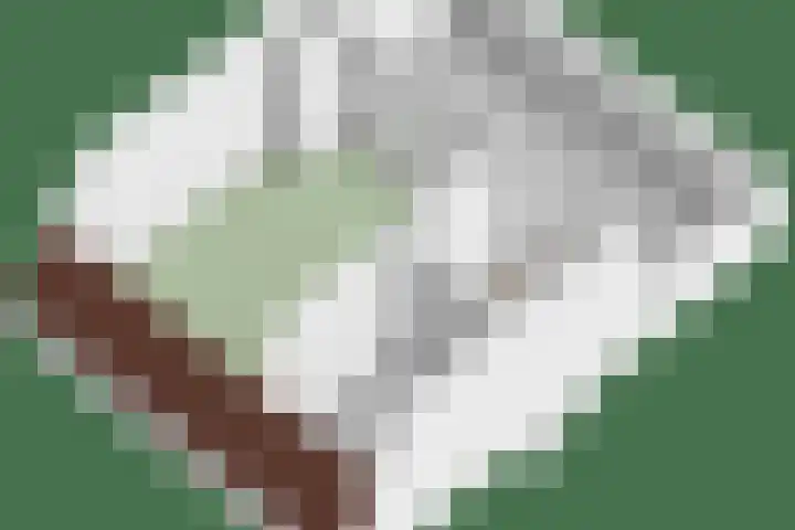 Duivenhof 32 Made thumbnail 46