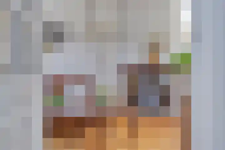 Duivenhof 32 Made thumbnail 5