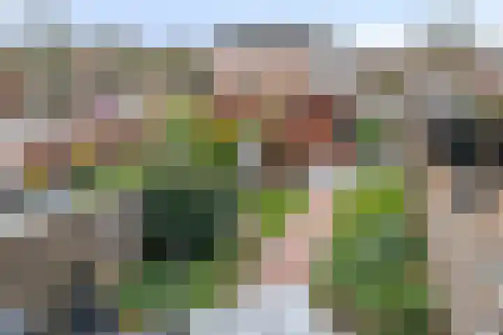 Duivenhof 37 Made thumbnail 25