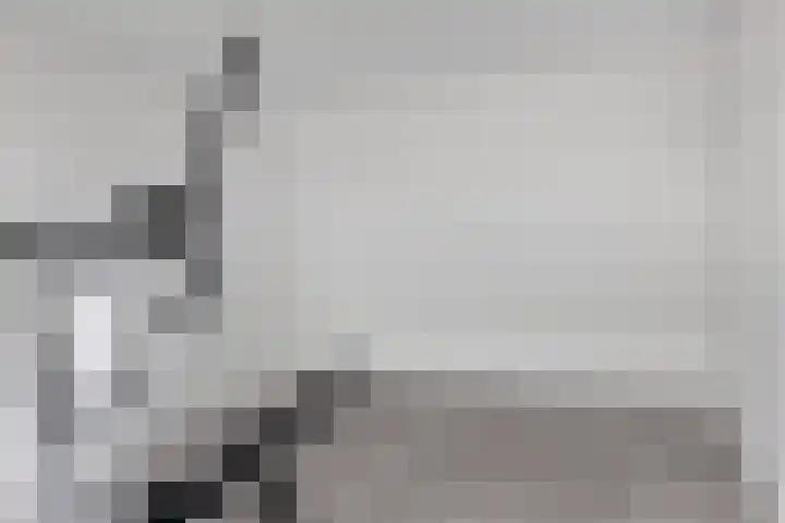 Duivenhof 37 Made thumbnail 31