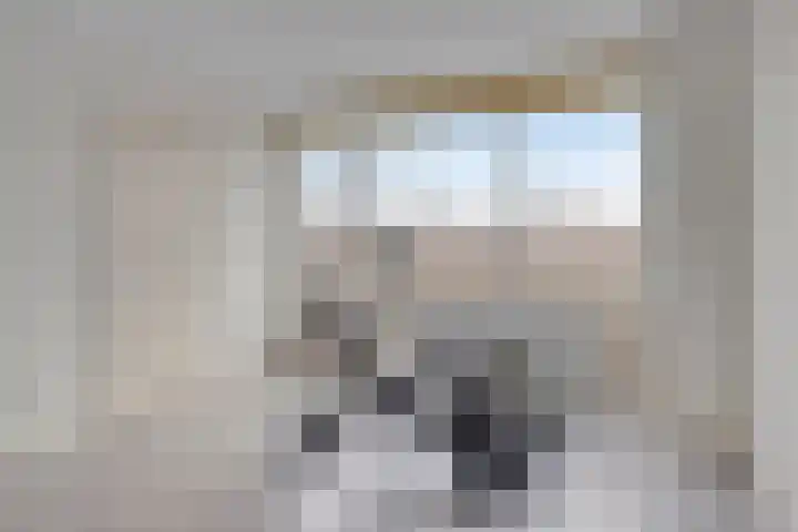 Duivenhof 37 Made thumbnail 32