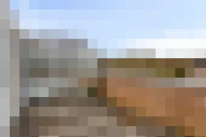 Duivenhof 37 Made thumbnail 33
