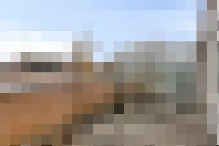 Duivenhof 37 Made thumbnail 34