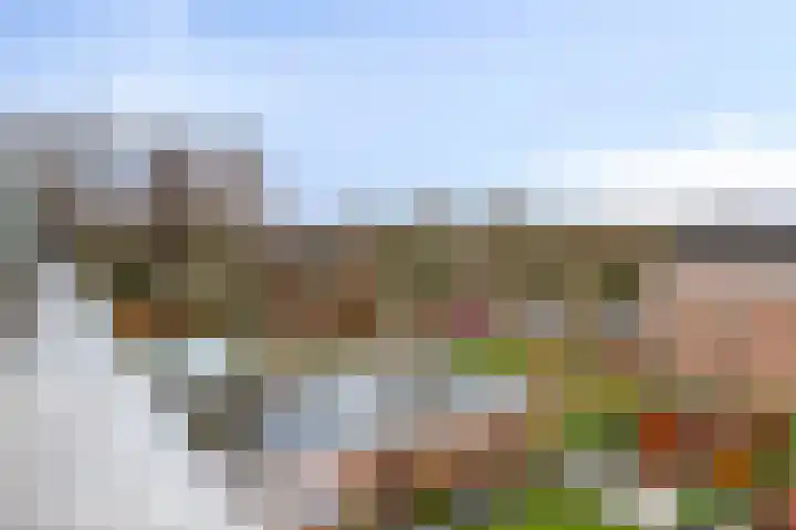 Duivenhof 37 Made thumbnail 35
