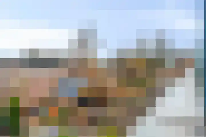 Duivenhof 37 Made thumbnail 36