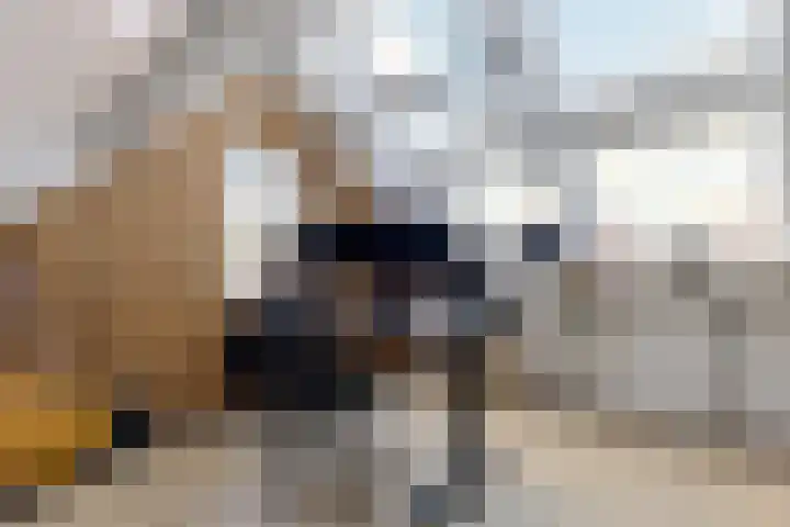 Duivenhof 37 Made thumbnail 37