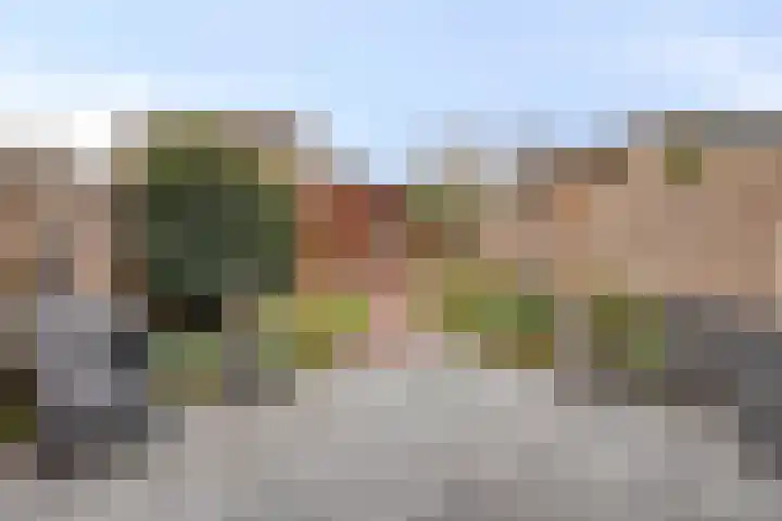 Duivenhof 37 Made thumbnail 37