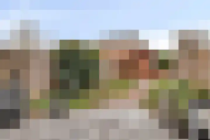 Duivenhof 37 Made thumbnail 38