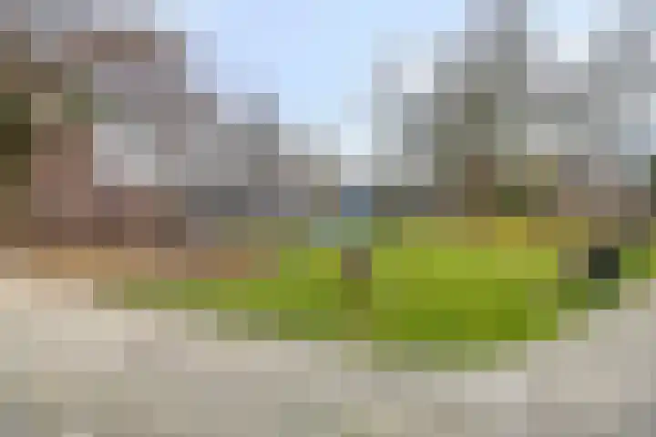 Duivenhof 37 Made thumbnail 39