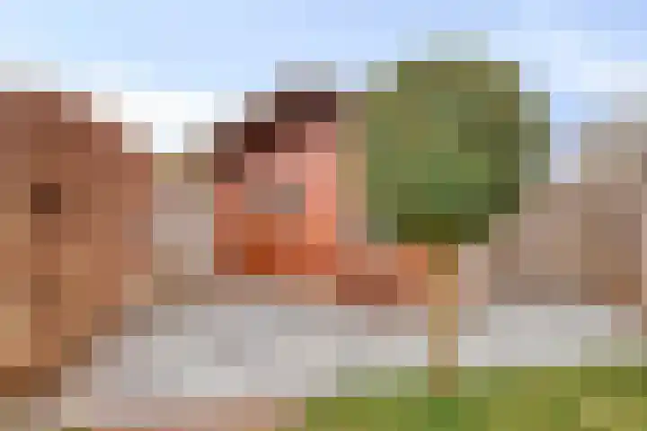 Duivenhof 37 Made thumbnail 40