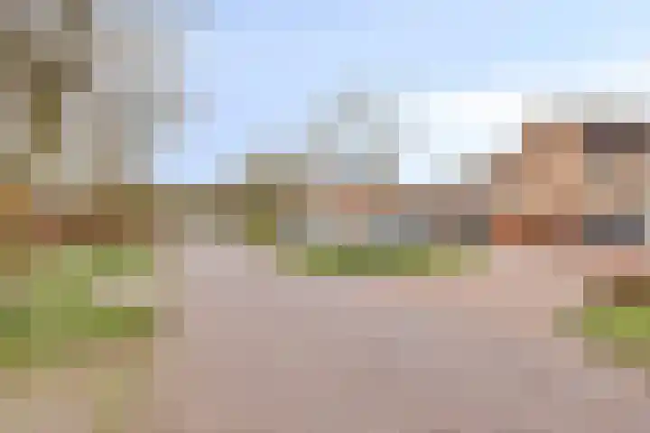 Duivenhof 37 Made thumbnail 45